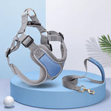 Dog Harness and Leash Set for Small to Medium Dogs