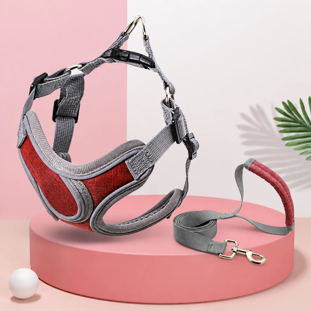 Dog Harness and Leash Set for Small to Medium Dogs