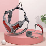 Dog Harness and Leash Set for Small to Medium Dogs