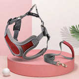 Dog Harness and Leash Set for Small to Medium Dogs