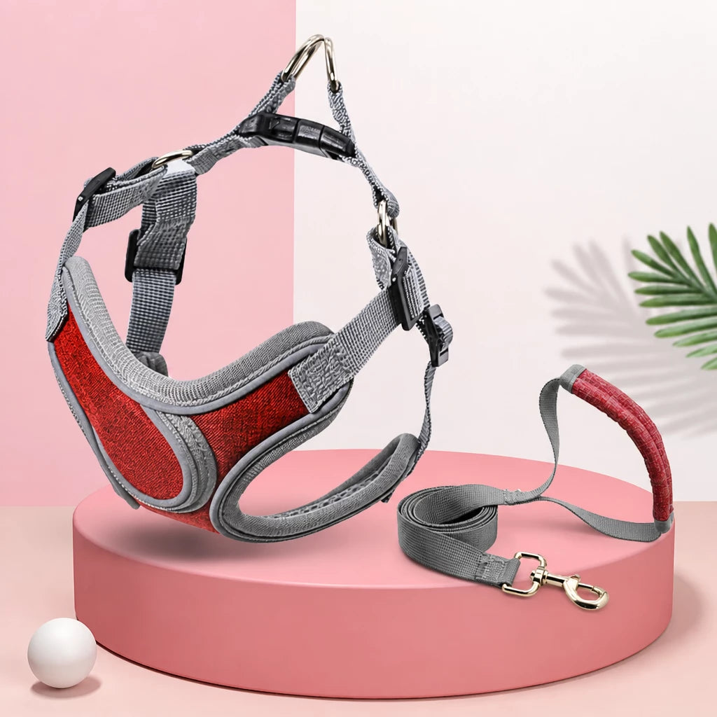 Dog Harness and Leash Set for Small to Medium Dogs