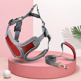 Dog Harness and Leash Set for Small to Medium Dogs