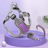 Dog Harness and Leash Set for Small to Medium Dogs