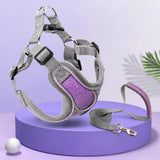 Dog Harness and Leash Set for Small to Medium Dogs