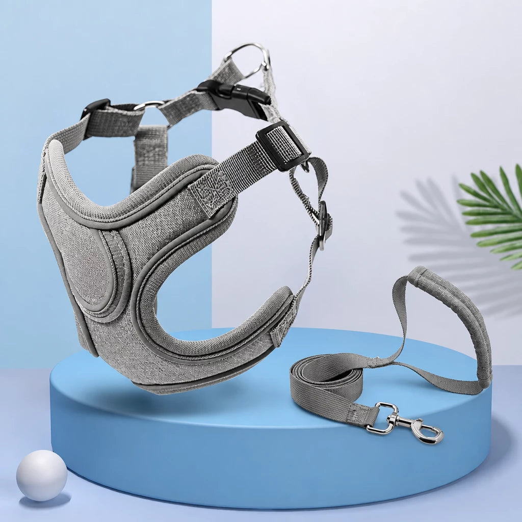 Dog Harness and Leash Set for Small to Medium Dogs