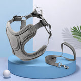 Dog Harness and Leash Set for Small to Medium Dogs