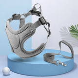 Dog Harness and Leash Set for Small to Medium Dogs