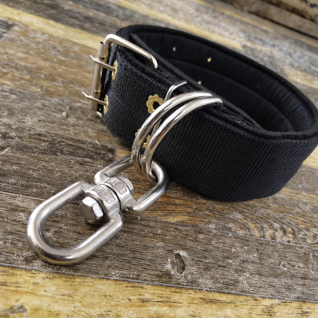 Heavy-Duty Nylon Dog Collar with Figure-8 Swivel Ring