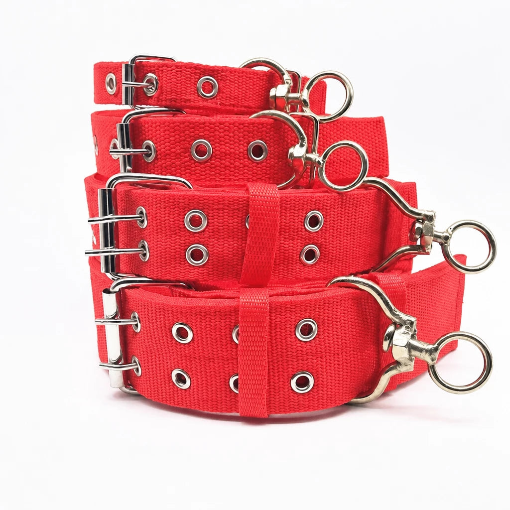 Adjustable Nylon Dog Collar