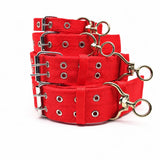 Adjustable Nylon Dog Collar