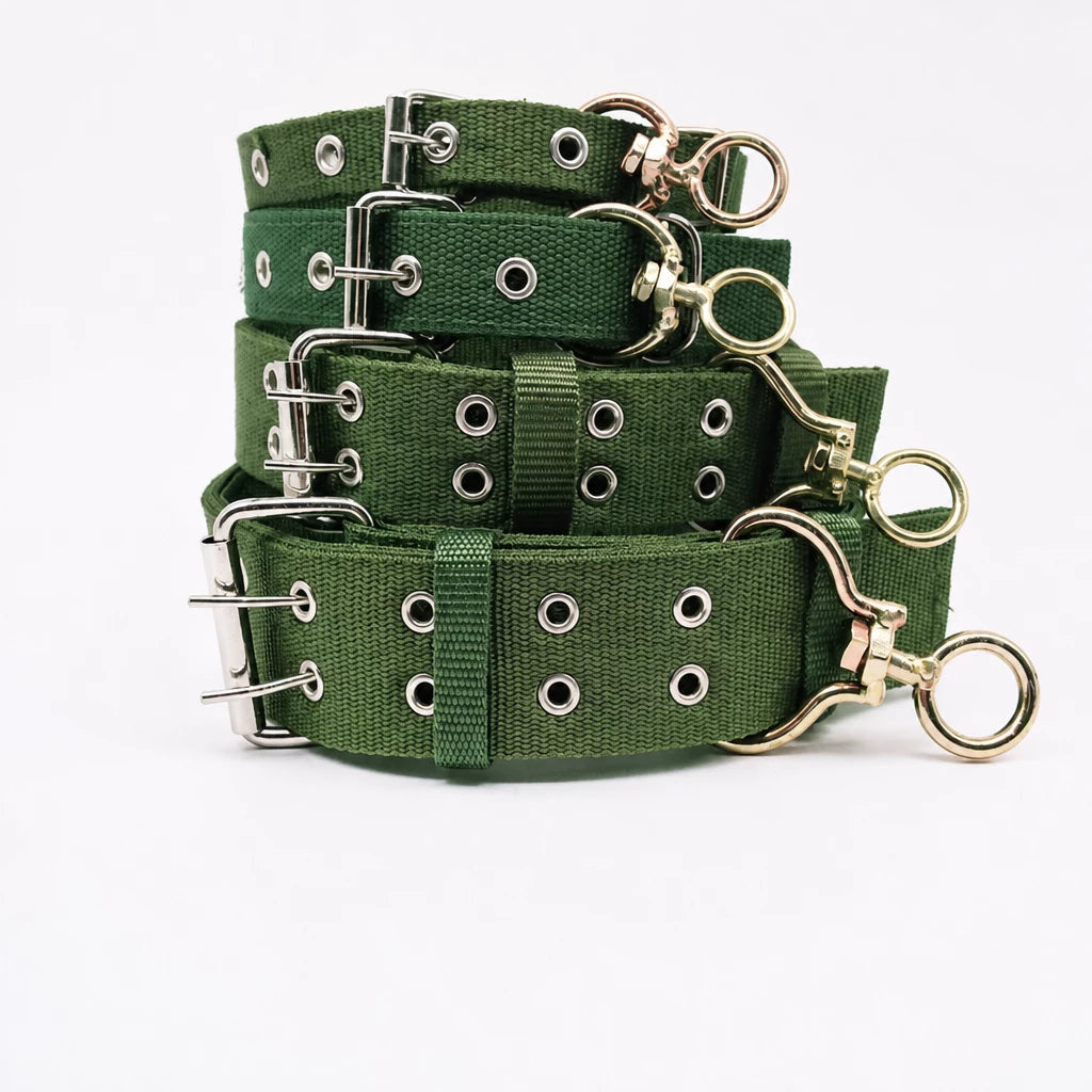 Adjustable Nylon Dog Collar