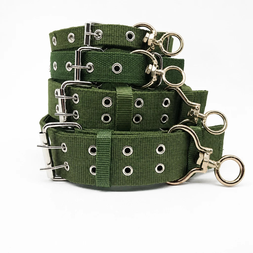 Adjustable Nylon Dog Collar