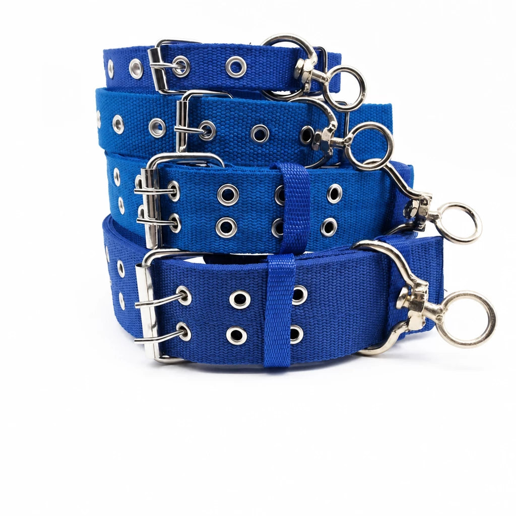 Adjustable Nylon Dog Collar