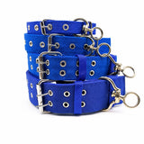 Adjustable Nylon Dog Collar