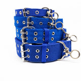 Adjustable Nylon Dog Collar