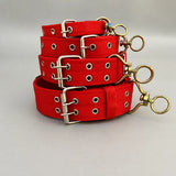 Nylon Dog Collar for Small to Large Dogs