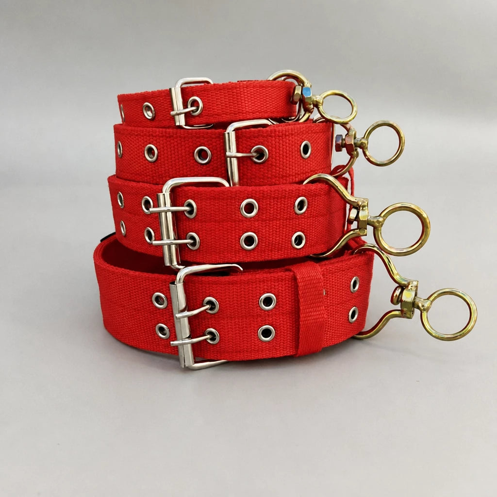 Nylon Dog Collar for Small to Large Dogs