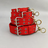 Nylon Dog Collar for Small to Large Dogs