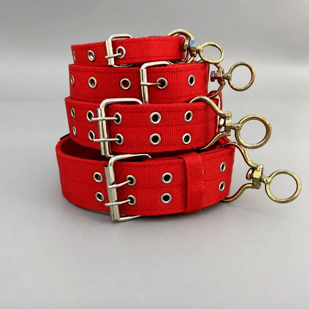 Nylon Dog Collar for Small to Large Dogs