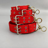 Nylon Dog Collar for Small to Large Dogs
