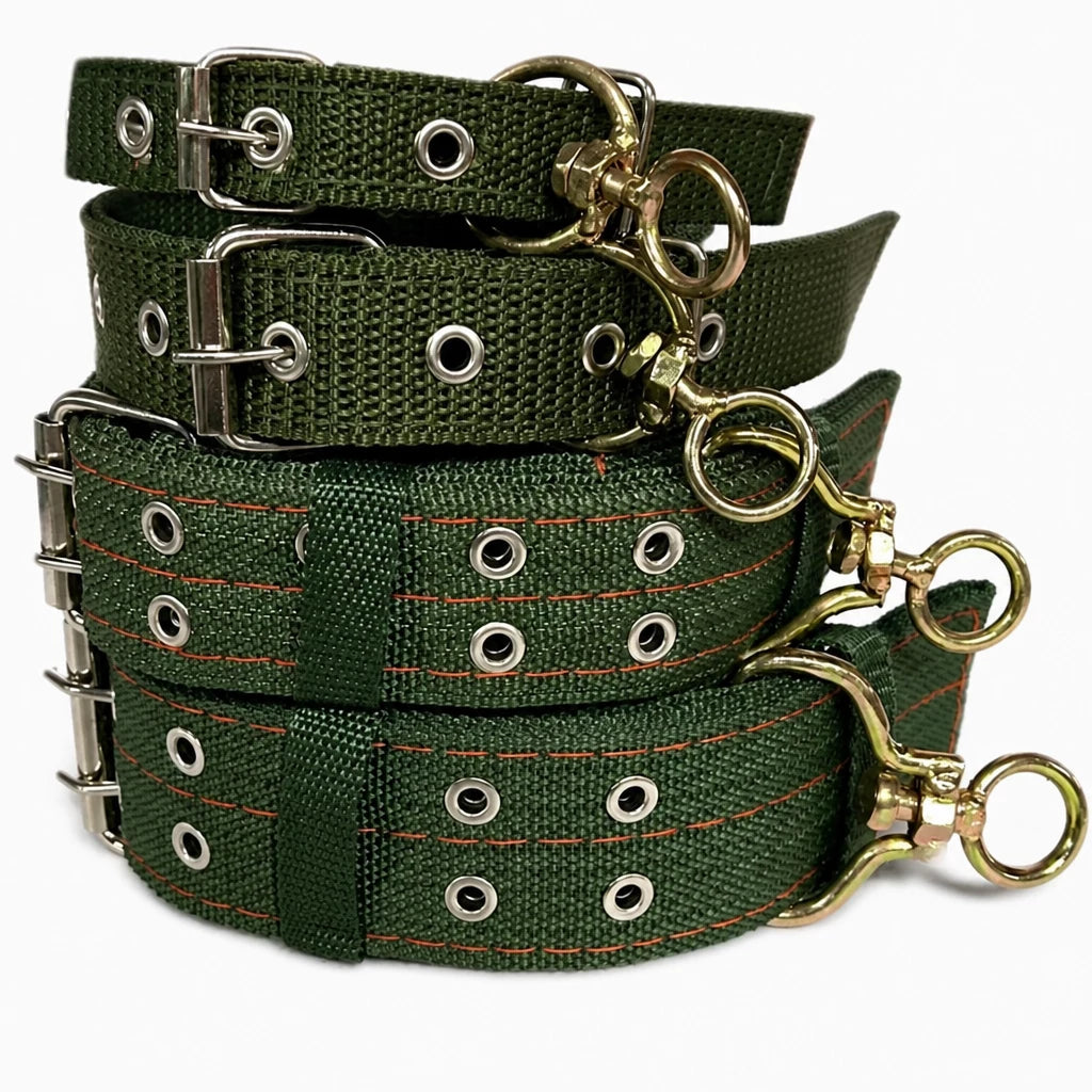 Nylon Dog Collar for Small to Large Dogs