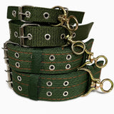 Nylon Dog Collar for Small to Large Dogs