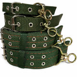 Nylon Dog Collar for Small to Large Dogs