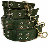 Nylon Dog Collar for Small to Large Dogs