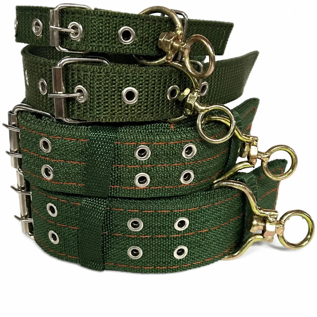 Nylon Dog Collar for Small to Large Dogs