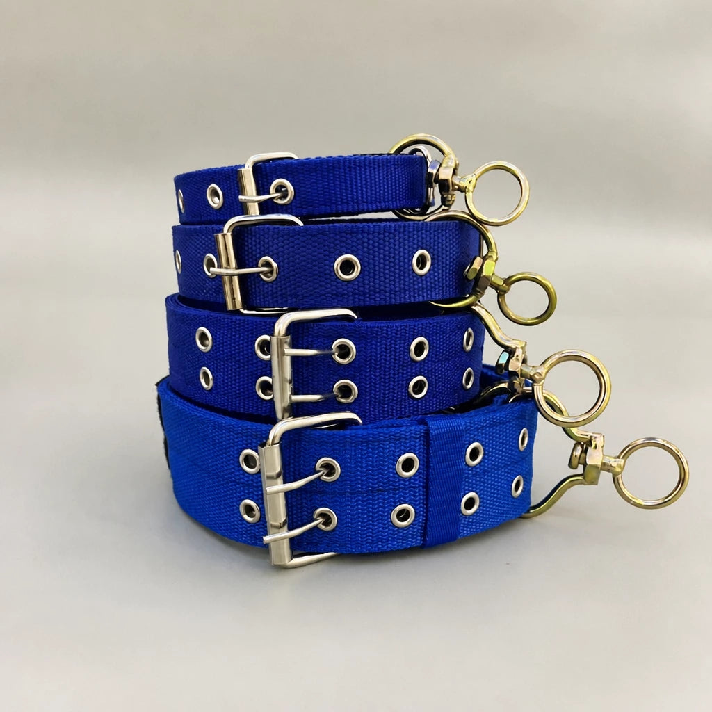 Nylon Dog Collar for Small to Large Dogs