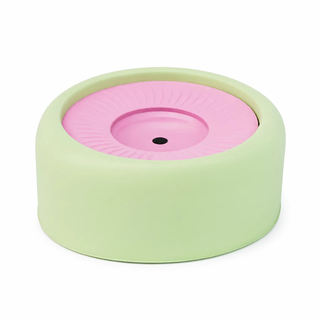 Floating Water Bowl for Dogs