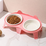 Elevated Double-Bowl Ceramic Cat Feeding Set