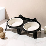 Elevated Double-Bowl Ceramic Cat Feeding Set