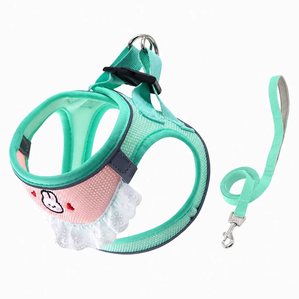 Nylon Dog & Cat Harness and Leash for Everyday Walks