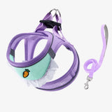 Nylon Dog & Cat Harness and Leash for Everyday Walks