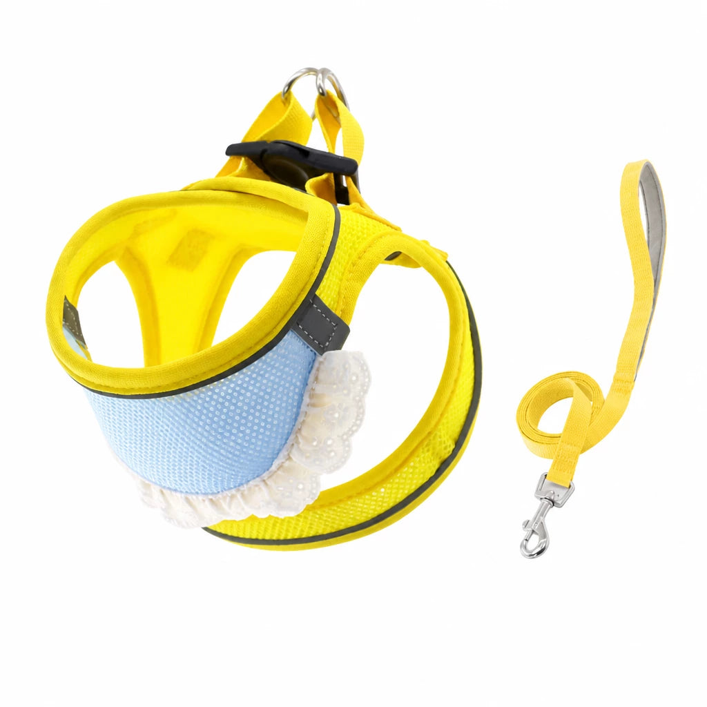 Nylon Dog & Cat Harness and Leash for Everyday Walks