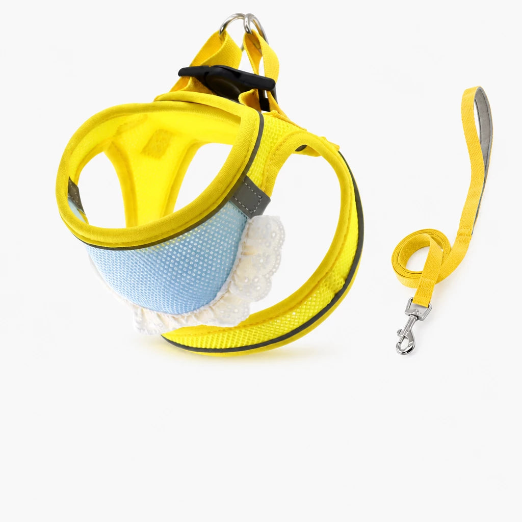 Nylon Dog & Cat Harness and Leash for Everyday Walks
