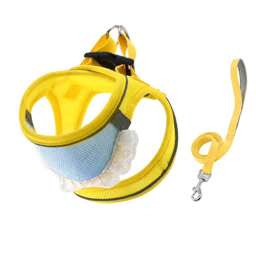 Nylon Dog & Cat Harness and Leash for Everyday Walks