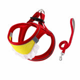 Nylon Dog & Cat Harness and Leash for Everyday Walks