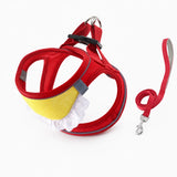 Nylon Dog & Cat Harness and Leash for Everyday Walks