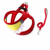 Nylon Dog & Cat Harness and Leash for Everyday Walks