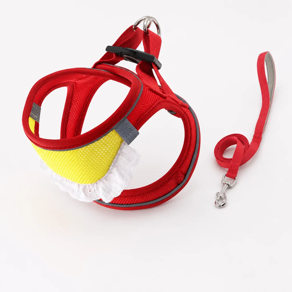 Nylon Dog & Cat Harness and Leash for Everyday Walks