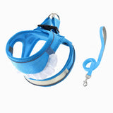 Nylon Dog & Cat Harness and Leash for Everyday Walks
