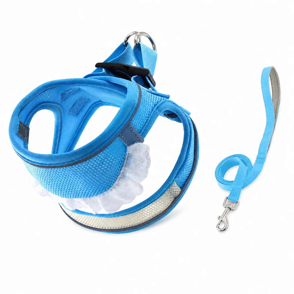 Nylon Dog & Cat Harness and Leash for Everyday Walks