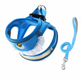 Nylon Dog & Cat Harness and Leash for Everyday Walks