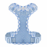 Dog Harness with 6.6-Ft Leash