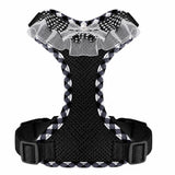 Dog Harness with 6.6-Ft Leash