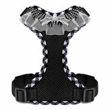Dog Harness with 6.6-Ft Leash