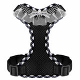 Dog Harness with 6.6-Ft Leash