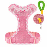 Dog Harness with 6.6-Ft Leash